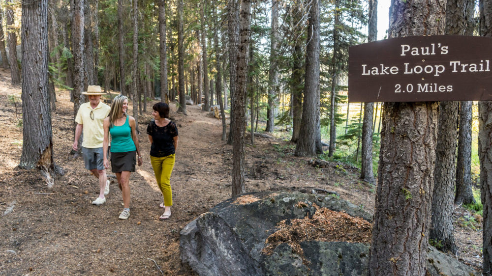Lake loop trail adults 2019